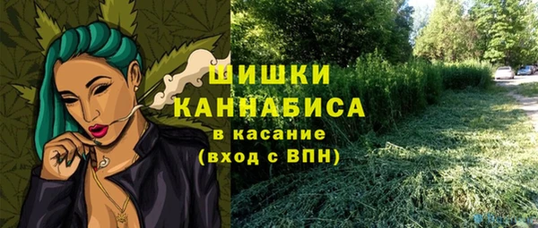 спайс Алексин