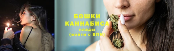 шишки Алексеевка
