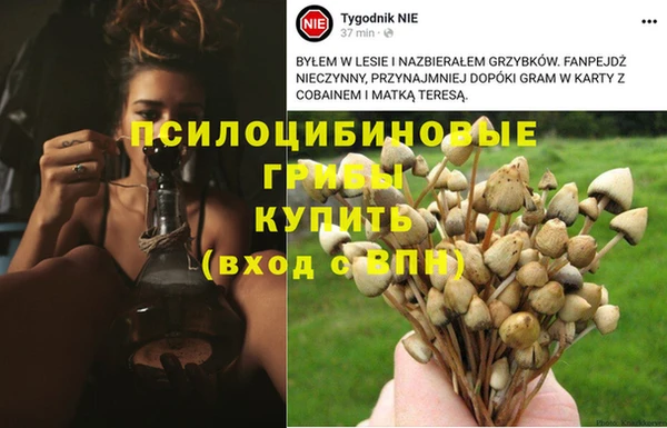 шишки Алексеевка