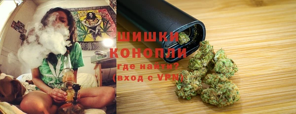спайс Алексин