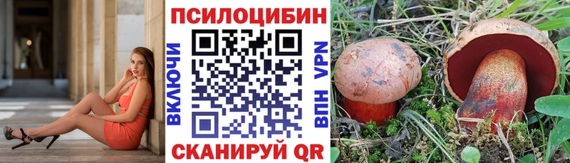 Галлюциногенные грибы Psilocybine cubensis купить цена kraken сайт Зерноград